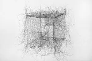 "Form and Emptiness #06", 2015 Human hair, glue (Photo by Zac Cam Studio)