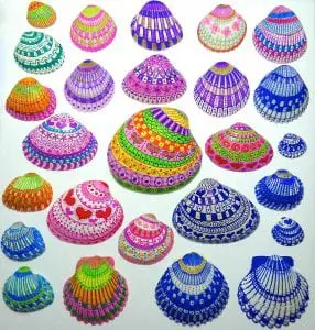 Sharpie shells (photo by Jean Wright)