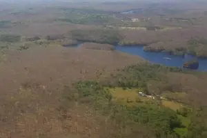 Defoliation caused this summer by gypsy moth caterpillars in Rhode Island (NASA photo)