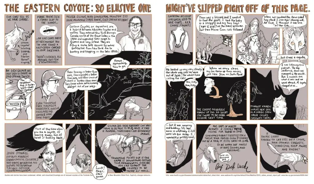The Eastern Coyote by Deb Lucke