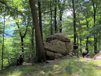 iForest