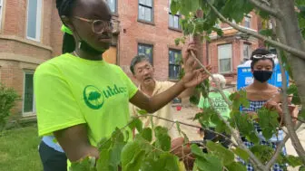 Outdoor Promise fellows work with Newburgh residents to care for new trees.