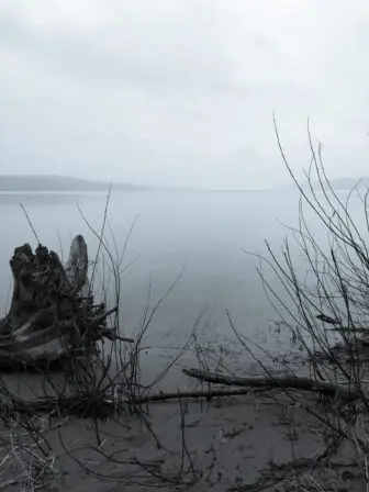 Foggy december on the hudson