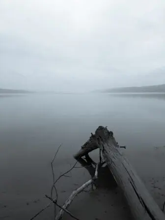 A foggy December on the Hudson