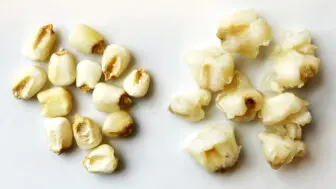 Pozole