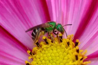 Unstung heroes 