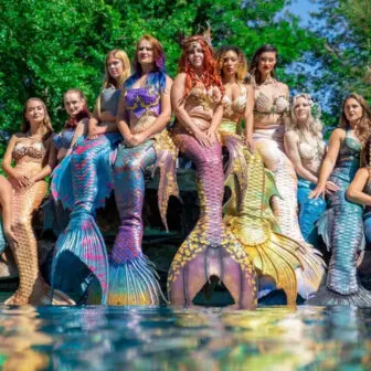 mermaid show