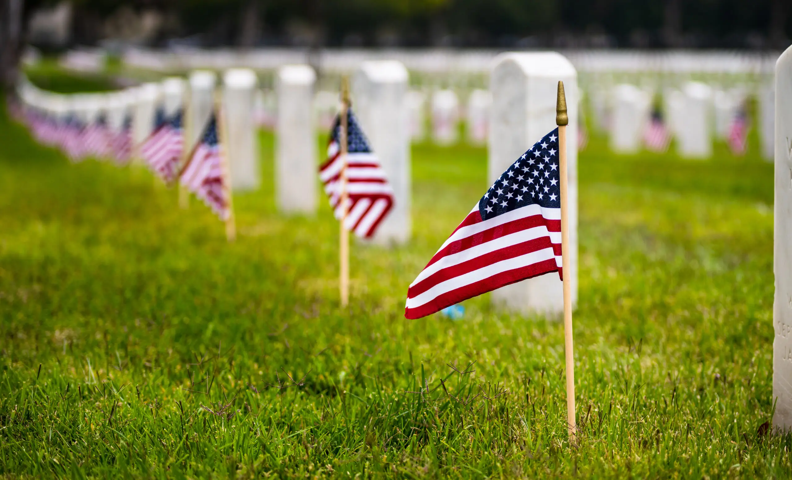 Small American flags and headstones at National cemetary- Memorial Day display