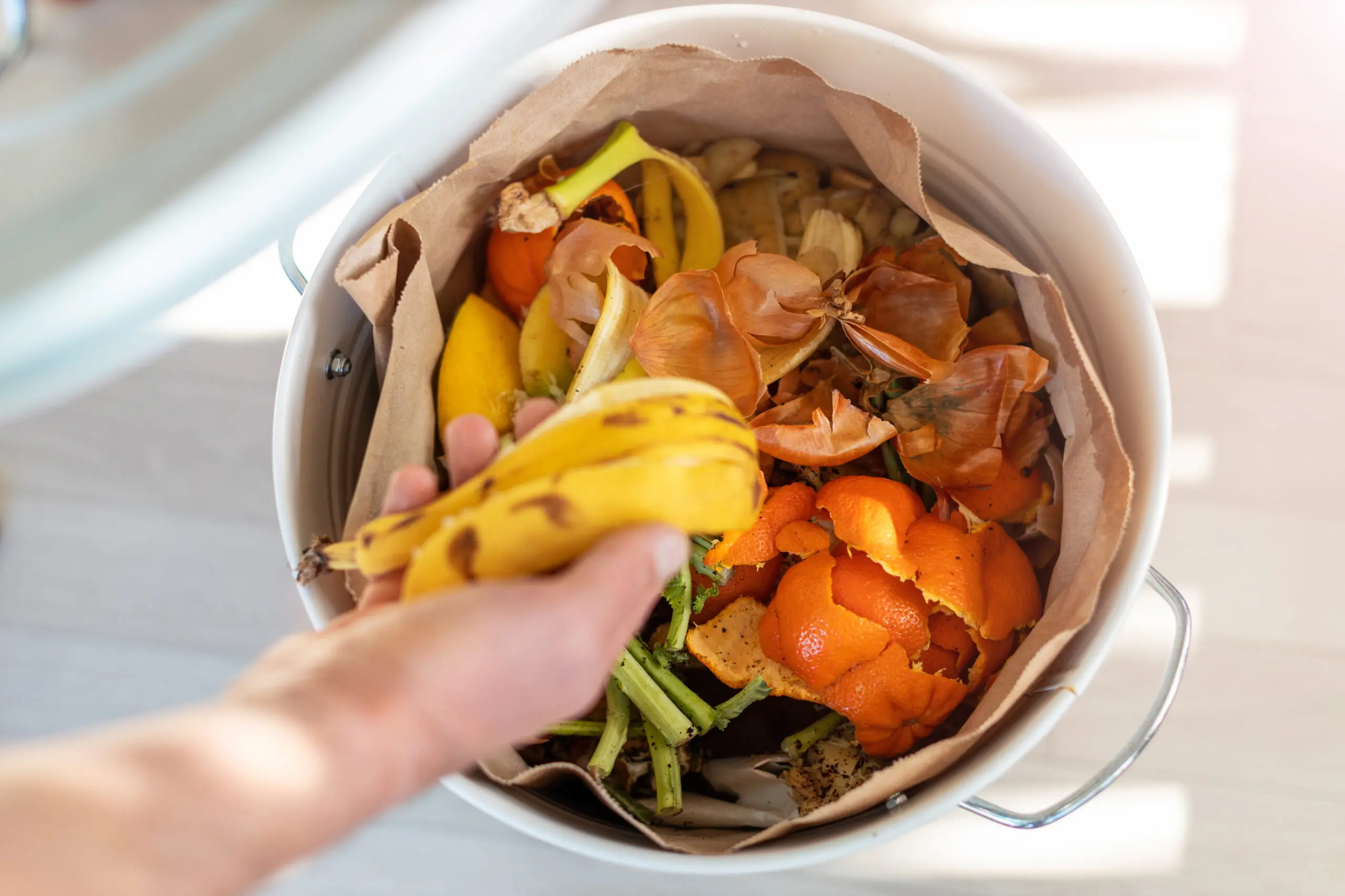 food scraps compost composting