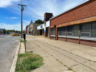 The site of a once and future tree.