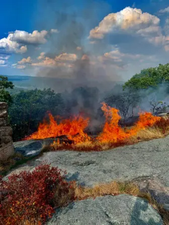 A brush fire damaged 5 acres at Bear Mountain, where a lack of rainfall has left dry conditions. (Photo via Fort Montgomery Fire District)