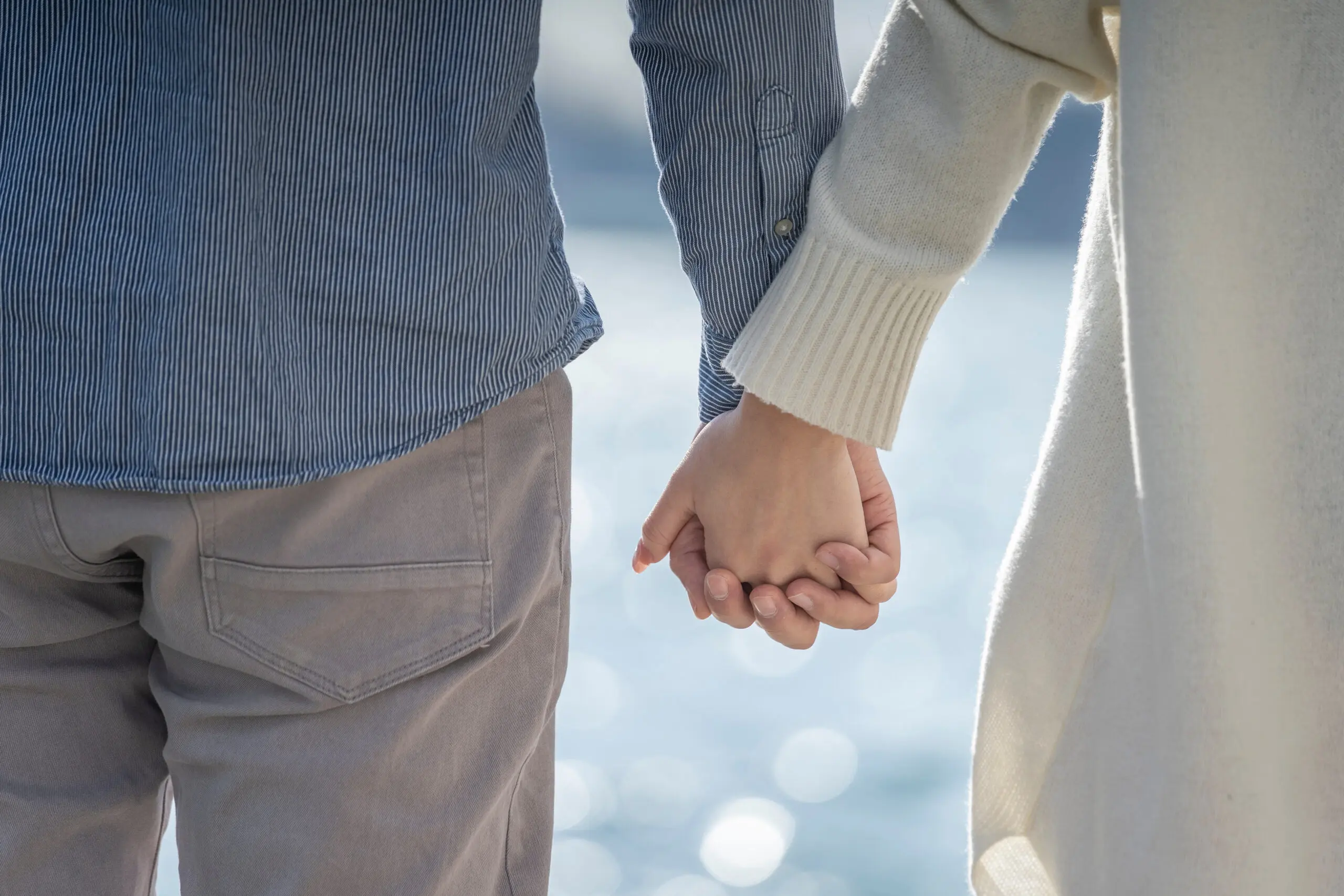 domestic partners holding hands