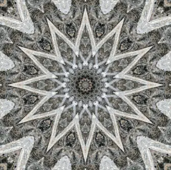 natural order scott lerman