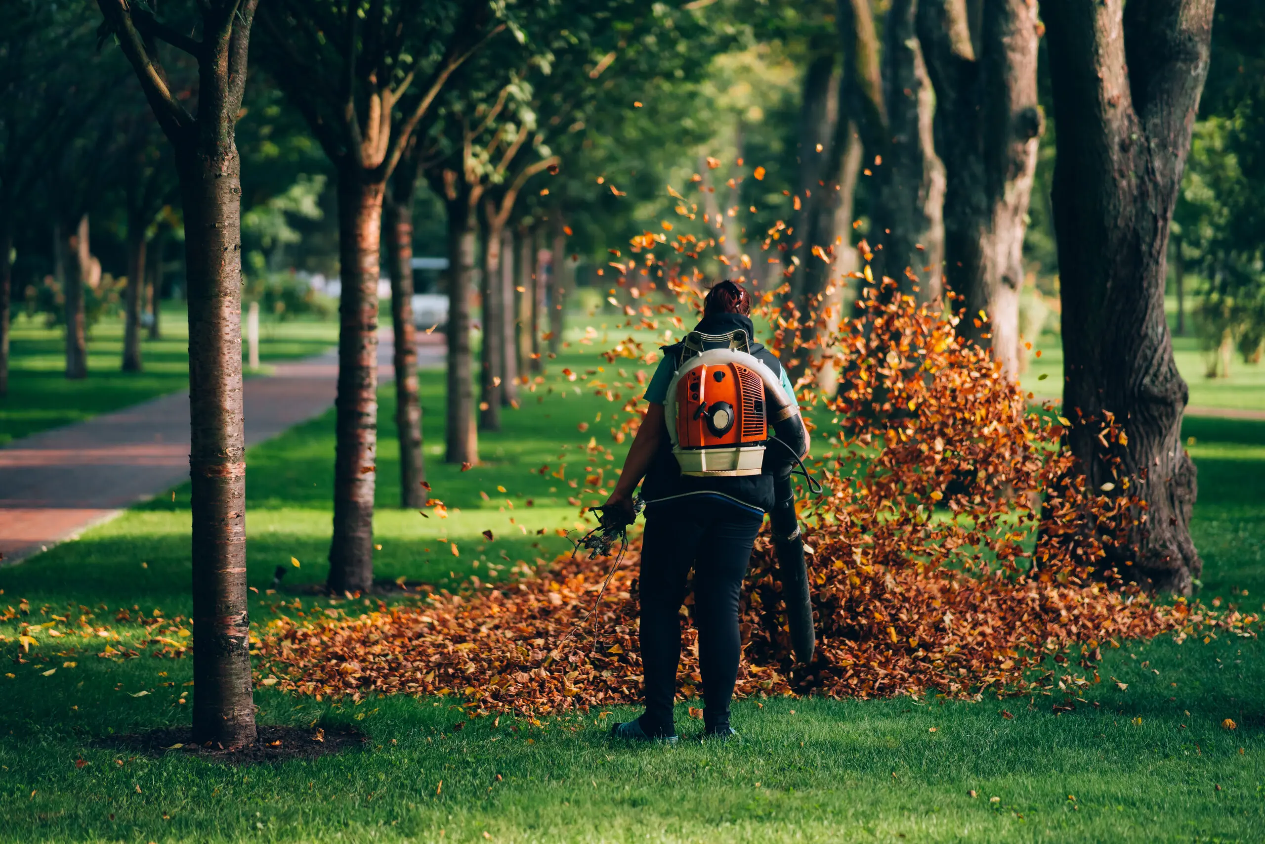 A woman operating a heavy duty leaf blower. Leaves being swirled up