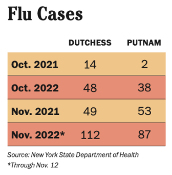 flu cases 2022