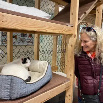 mid-hudson-animal-aid