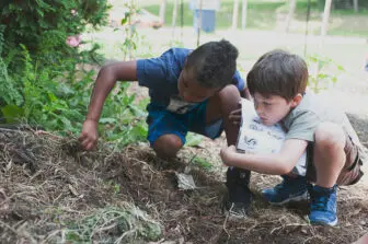 land to learn