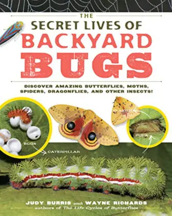 the secret lives of backyard bugs
