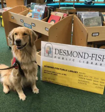 reading-to-dog