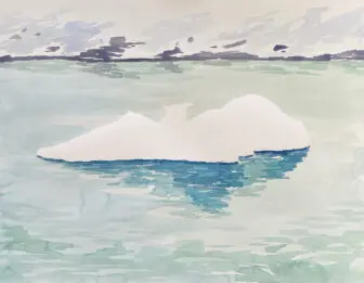 Details from Matt Frieburghaus’ “Ghosts of Icebergs,” companion pieces to his leporello
