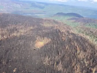 A burned area in Quebec