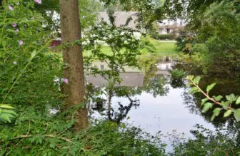 storm damage
