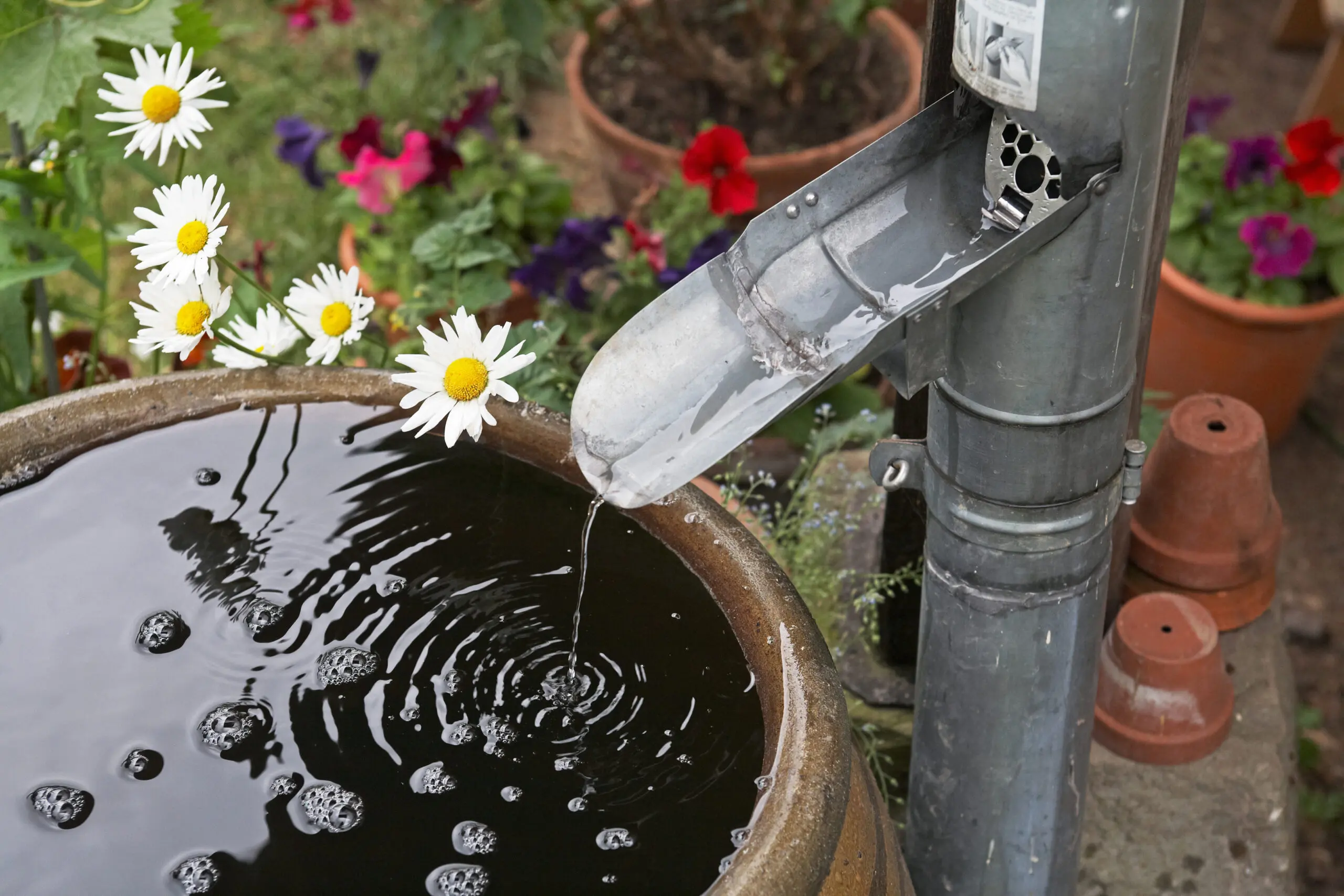 rain barrel