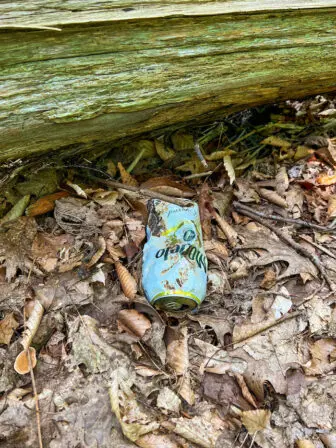 An ancient offering to the M’singwe