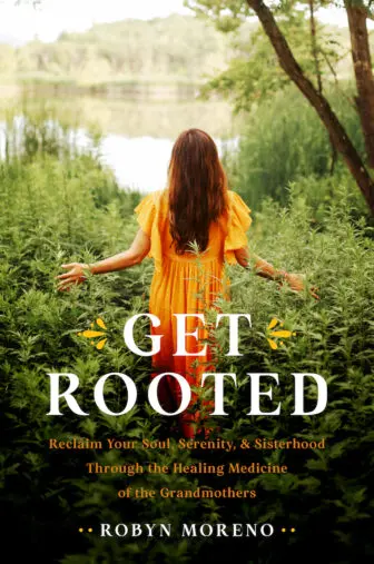 get rooted book cover