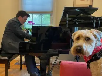 Daniel Kelly improvised on the family’s new grand piano earlier this year.