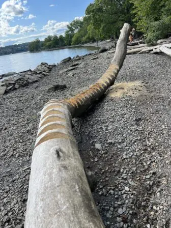 “Hudson Waves”