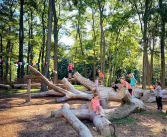 forest playground tour
