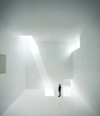 Inside the Olnick PavilionPhoto by Javier Callejas