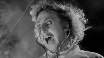 young frankenstein