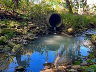 Asylum Brook still flows freely in only one spot: Behind the Madame Brett Homestead