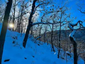 March 1st: The briefest of winters on Mount Beacon (Photo by B. Cronin)