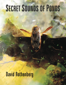 secret sounds of ponds
