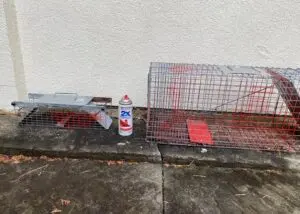 A Patterson man is accused of trapping squirrels and painting them red.Putnam County SPCA