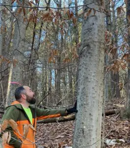 Shane Stevens, aCCE regional director, points out the effects of beech bark disease during Master Forest Owner training. (Photo provided)
