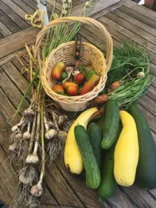 Photos from past harvests inspire me to put in the time for a vegetable garden this season. Photo by P. Doan