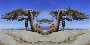 “Sentinel” (2024)