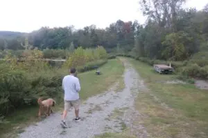 A gravel path leads to a town dog park behind a pond at Glassbury Court. Photo by M. Turton