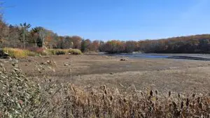 The Beacon reservoir on East Mountain Road North in Philipstown on Nov. 7