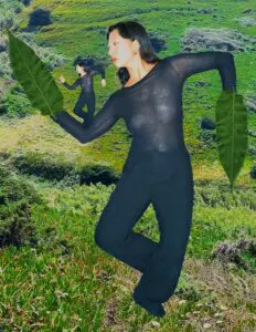 Score No. 1a Your favorite tree asks you to dance