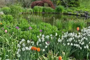 Flowers surrounding the Pond Garden - Chanticleer Garden, Wayne Pennsylvania