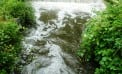 After the Deluge After the Deluge
