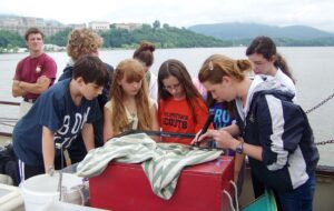 Students look for eels in water sample taken from the river