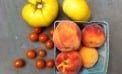 Mouths to Feed: Summer Beauties Mouths to Feed: Summer Beauties