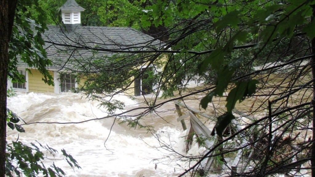 CloveCreekRages. Photo Melanie Matero