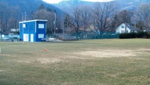 HaldaneField